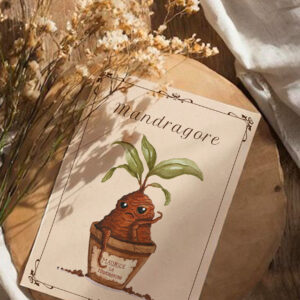 La mandragore, racine aux pouvoirs secrets, murmure ses mystères.