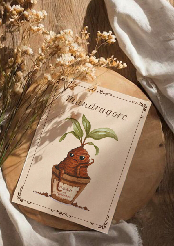 La mandragore, racine aux pouvoirs secrets, murmure ses mystères.