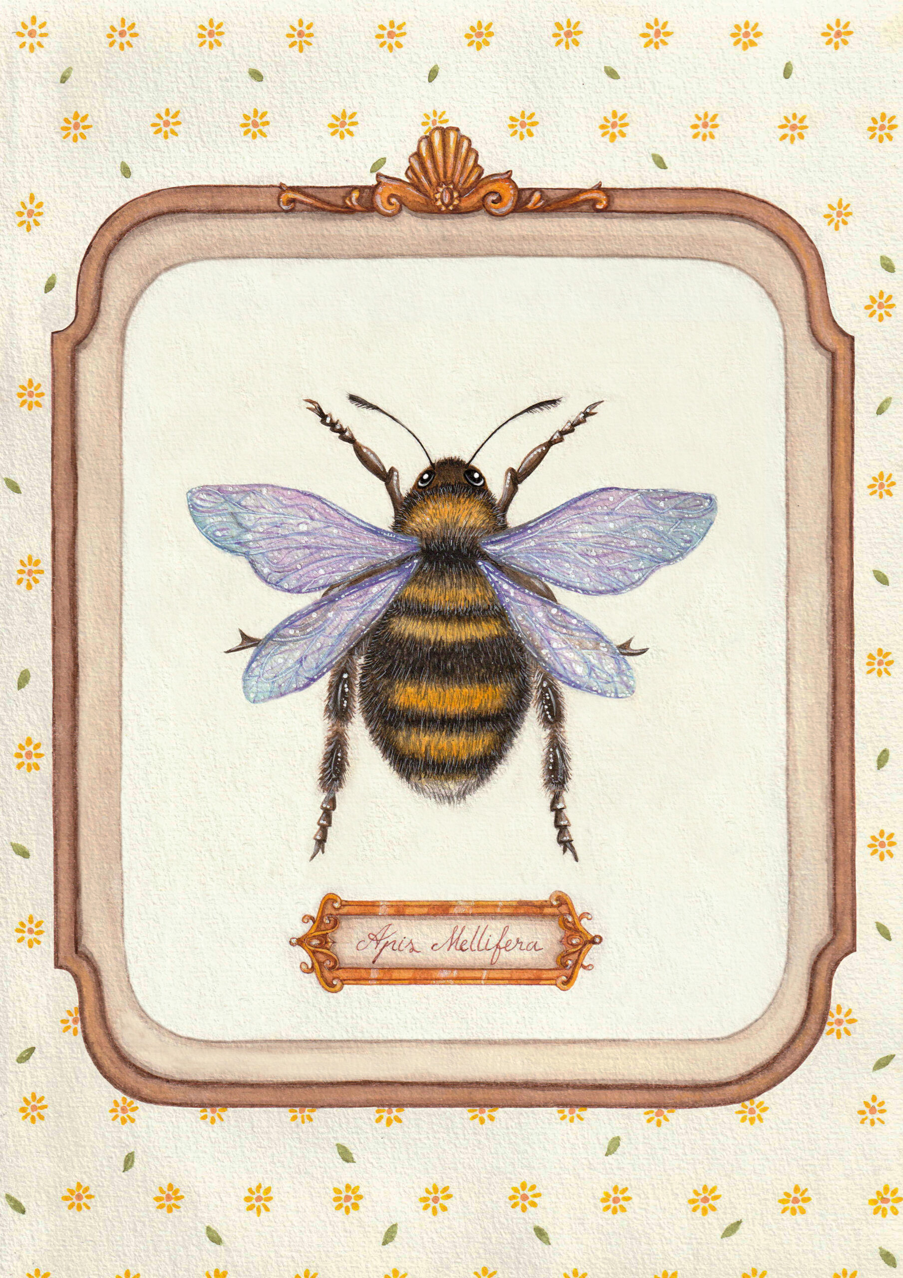 Illustration aquarelle d’une abeille réaliste aux ailes irisées, vue de dessus, sur fond fleuri doux et encadré vintage.