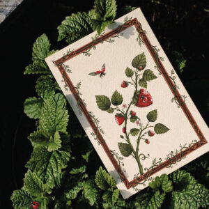 Illustration aquarelle représentant deux coccinelles perchées sur des fraises juteuses, sur fond beige. Style doux et naturel.