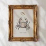 Affiche zodiaque Canceraquarelle encadrée, illustration minimaliste artisanale signe astrologique